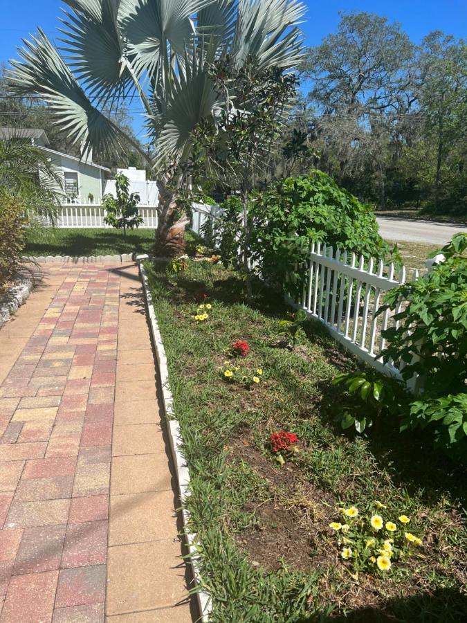 Caribbean Splendor Vacation Rental Near Bush Gardens Tampa Fl Exterior foto